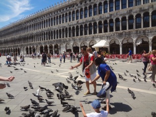 Pigeons at San Marco